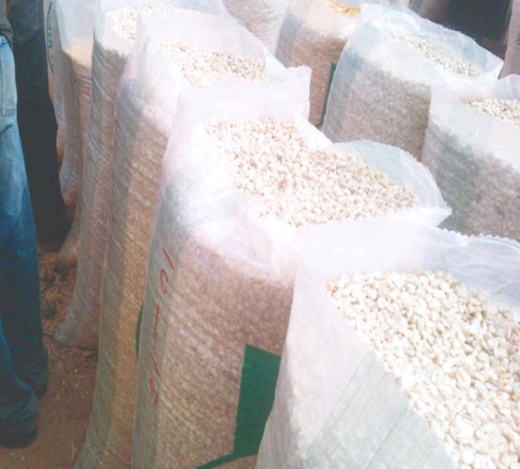 White Corn