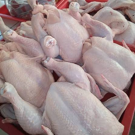 1 Carton Farm Fresh Frozen Whole Chicken | 66 Cartons per tonnes
