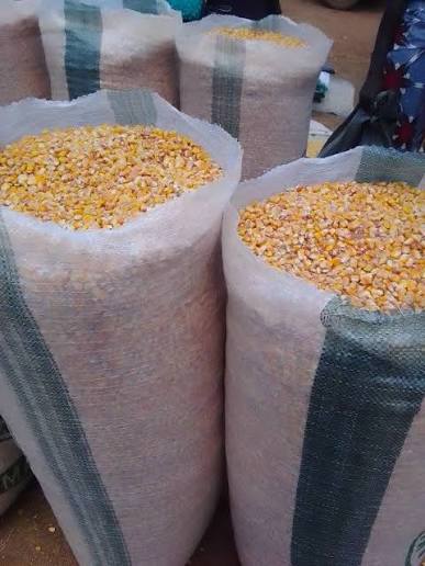 Yellow Corn