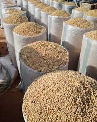 Premium Soybeans