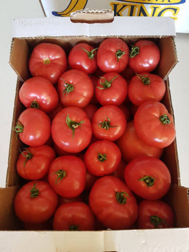 Processed Tomatoes ( per basket )